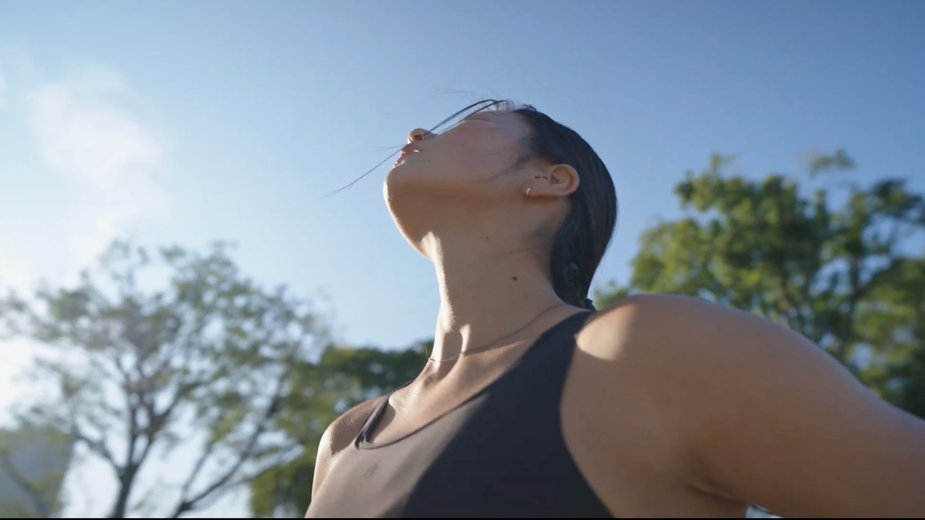 動画を読み込む: 